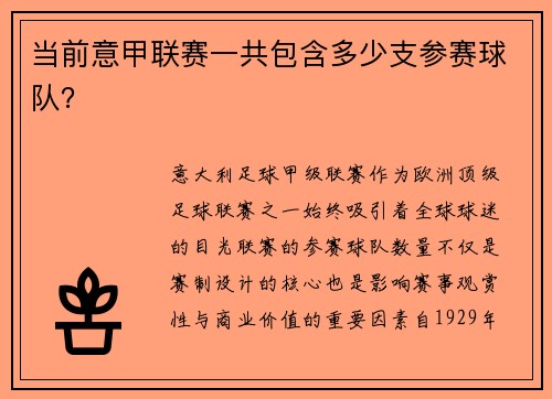当前意甲联赛一共包含多少支参赛球队？